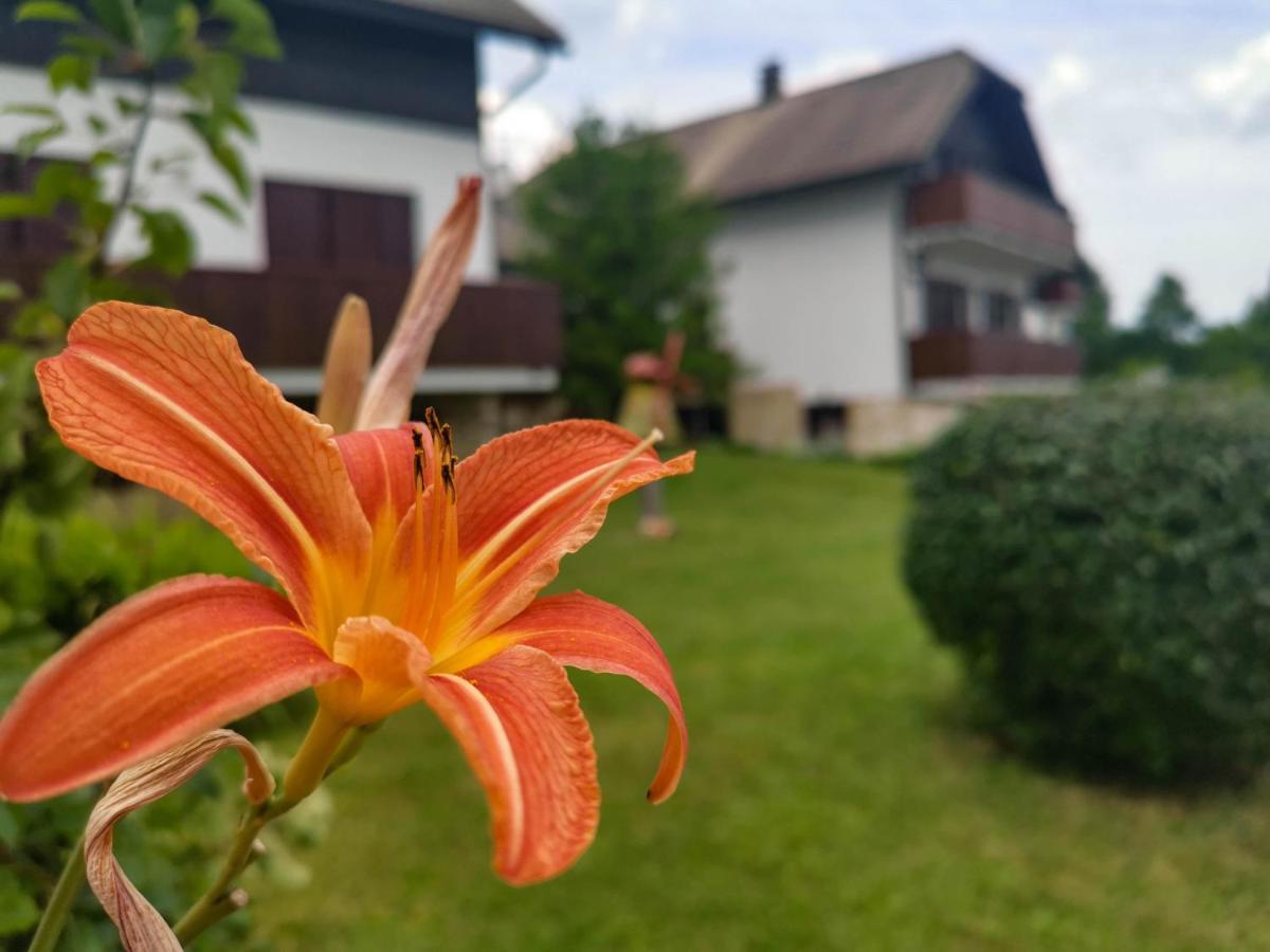 Etno Garden Apartments Plitvica selo Exterior foto